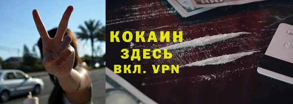 твердый Костерёво