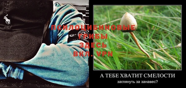 твердый Костерёво
