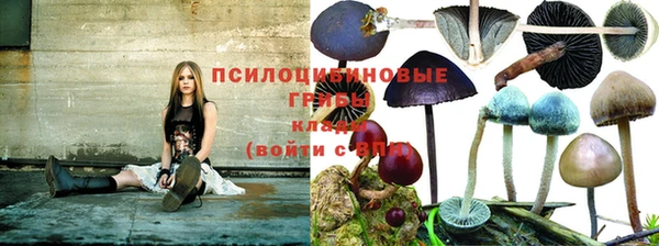мет Корсаков