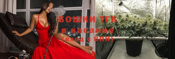 мет Корсаков