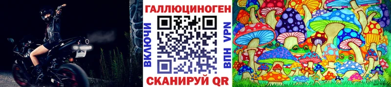 Купить где  Южноуральск  Псилоцибиновые грибы мицелий 